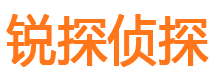 娄底外遇出轨调查取证